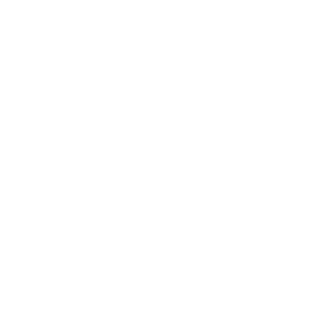Federal Transit